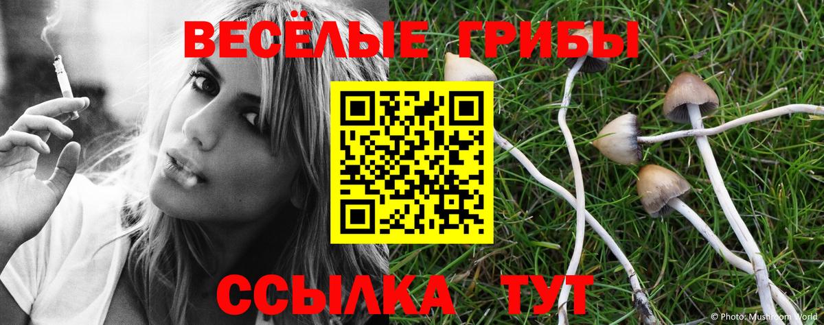 Полевской  Галлюциногенные грибы Magic Shrooms  Вход с VPN 